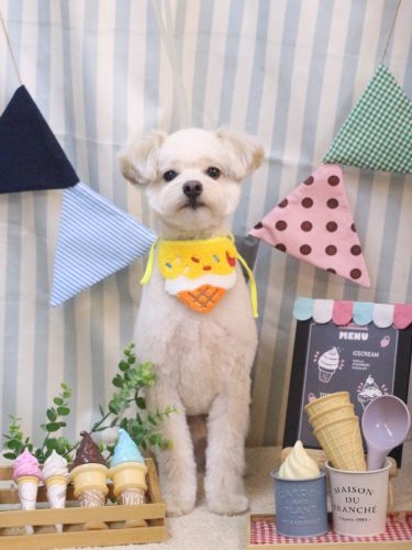 20250501ヌンくん